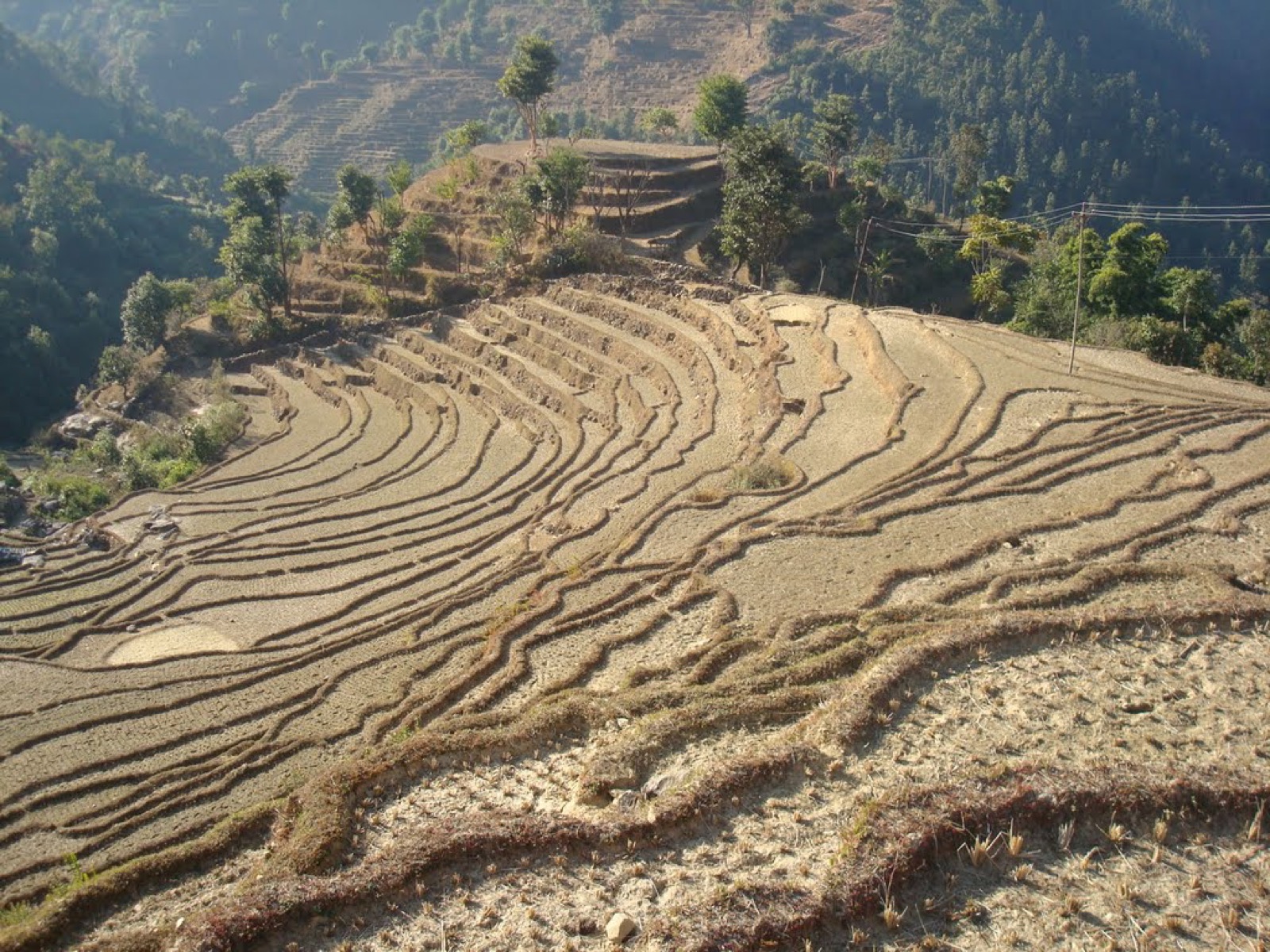 Empowering Nepali Farmers, Connecting Every Table